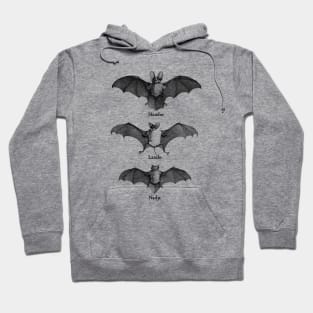 Vintage Vampire Bats Hoodie